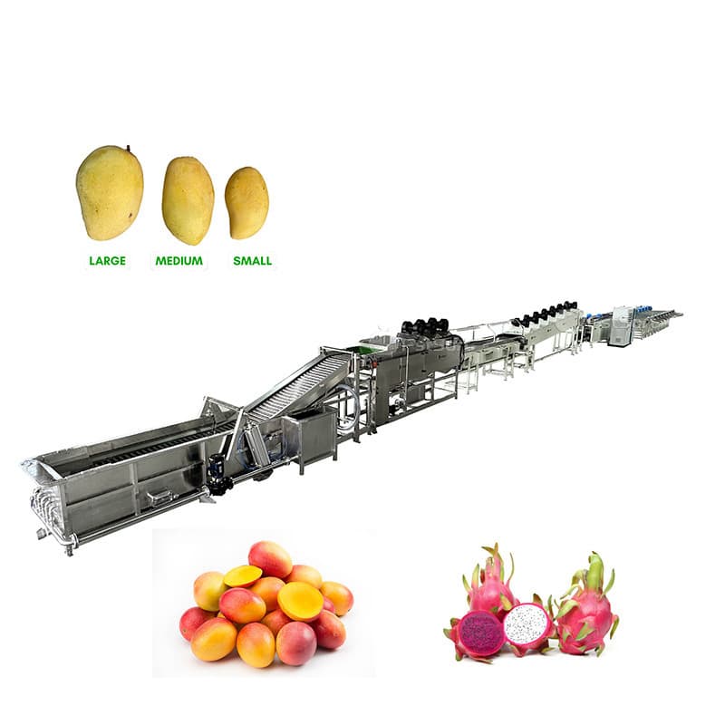 images/1763536872080mango 1.jpg